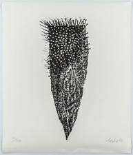 Günther Uecker handsigniert