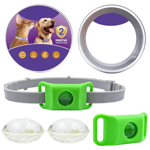 Hundeanhänger hundezubehör - hundezubehör,