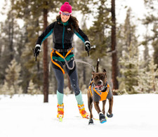 Ruffwear Omnijore Dog Joring