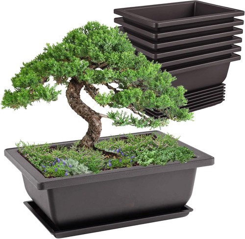 Idota stück bonsai schale - stück,