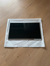 AU Optronics Laptop Display