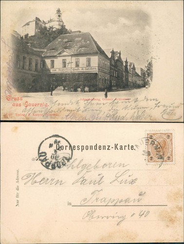 Jauernig javorník - jauernig,