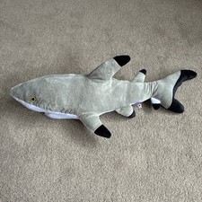 Weißer Hai Ravensden