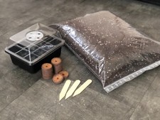 Hanf Cannabis Anzucht Starter