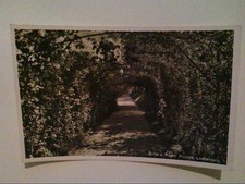 Sellin. Rügen. Laubengang