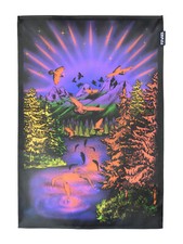 PSYWORK Schwarzlicht