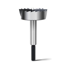 Forstnerbohrer 100mm Holz