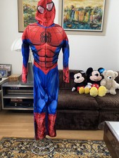 SPIDERMAN OVERALL