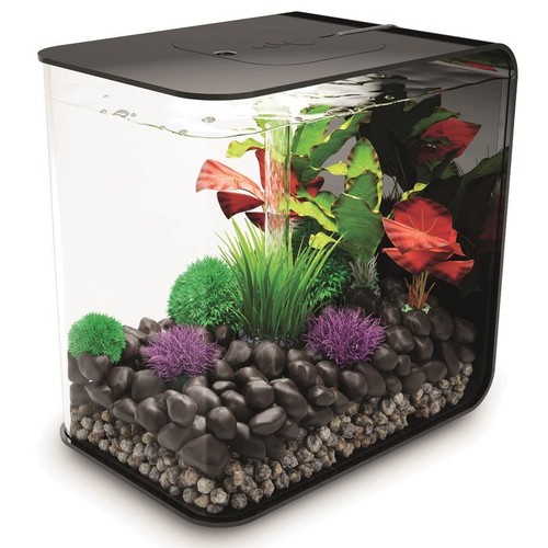 Biorb nano aquarium - biorb, nano-aquarium