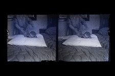 Foto Famille Baby Frankreich