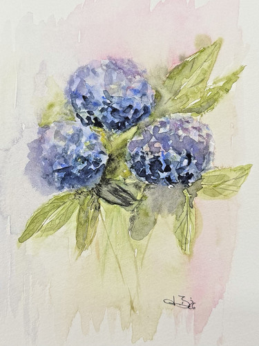 Aquarellbild blaue hortensien - aquarellbild,