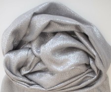 Gold oder Silber Glitzer