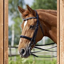 Busse kandare glamour - glamour,,