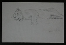 Bleistiftzeichnung Otto Dill (1884-1957) liegende Löwin Tier 19x29 cm Zeichnung