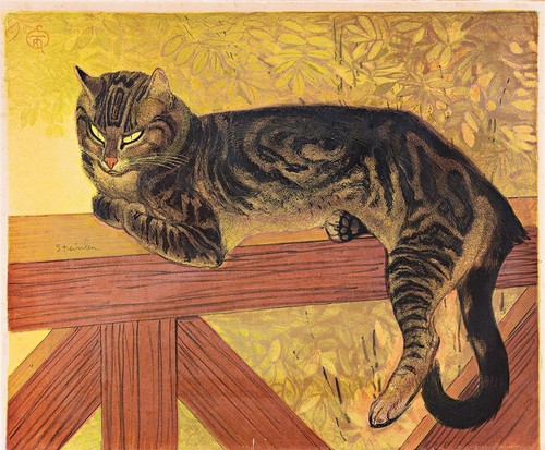 Sommer die katze auf einem - sommer,