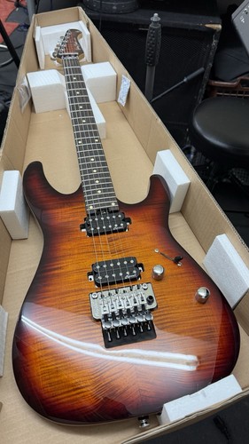 Harley benton pro series - pro,