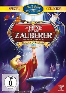Die hexe und der zauberer - hexe,