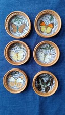 wunderschönes  echt Schmetterlingsflügel Untersetzer-Set 6 Teile Erbstück