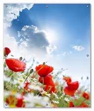 Wallario Sichtschutz Verdunklung Fenster Mohnblumen blauem Himmel Blume   rot