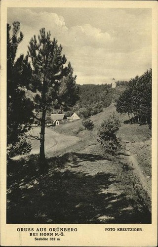 Gruenberg schlesien zielona - schlesien,