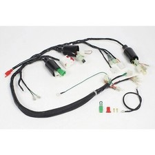Takegawa Kabelbaum für Honda Monkey und Gorilla 12V Z50 J2 Z50G wire harness