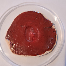 Wachs-Siegel Antik Wappen Historie Adel Heraldik 