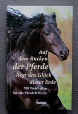 Auf dem Rücken der Pferde