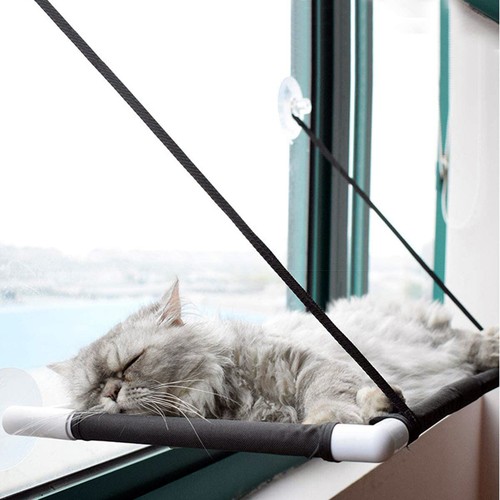 Katzen fensterplätze - katzen,