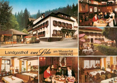 Triberg landgasthof zur lilie - triberg,
