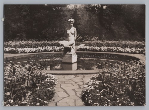 Hamburg 1955 stadtpark - 1955,