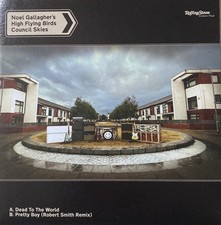 Noel Gallagher's High Flying Birds - Vinyl Single
