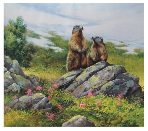 Murmeltiere kunstdruck 37 - murmeltiere, x