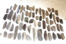 Schwemmholz Treibholz 60