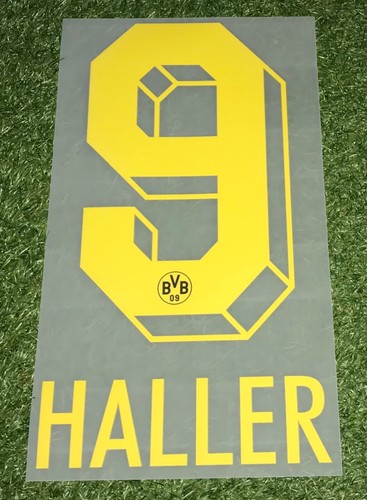 Sébastien haller flock - sébastien,