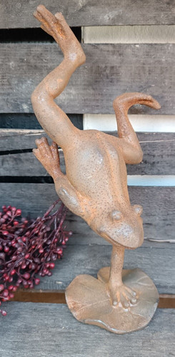 Frosch macht handstand - ,