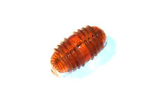 LKW Traktor orig. Hella K12642 Seitenblinker Warzenblinker side indicator Fendt