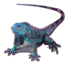 Leguane Aufkleber Sticker Auto