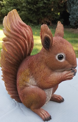 Süßes eichhörnchen - **süßes, eichhörnchen**