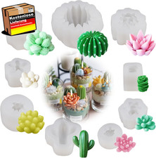 Silikonform Kaktus Sukkulenten