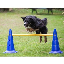 Dog Agility 3er Set