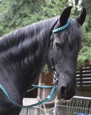 Unikat Leder EINOHRTRENSE mit