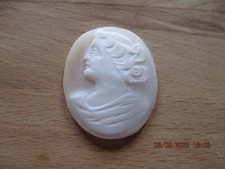 Feine Muschelgemme Cameo Kamee