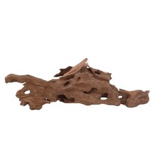 M Honey Comb Wurzel Nr.2955 Aquarium Wurzel Mangrove Holz Deko Aquascaping Natur