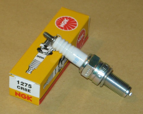 Zündkerze ngk für kreidler - ngk,