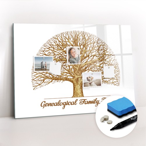 Magnetboard glas inkl - glas, magneten
