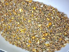 Hühnerfutter Legehennen