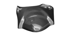 Carbon hinteres Schutzblech