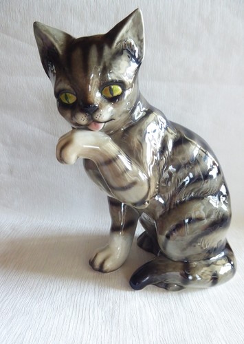 Katze sitzend getigert aus - katze,
