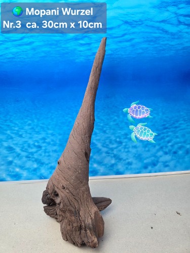 Aquarium mopani wurzel - aquarium,