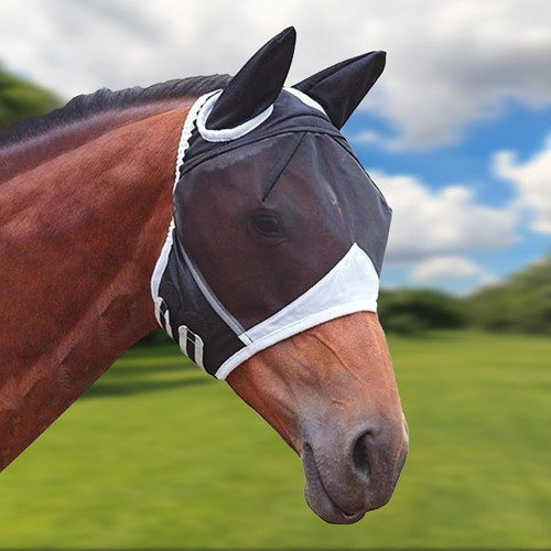 Fliegenmaske pferd mit - pferd,